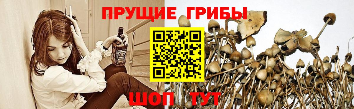 Галлюциногенные грибы Psilocybine cubensis  Галлюциногенные грибы Psilocybe  Вход с VPN  Бирск 