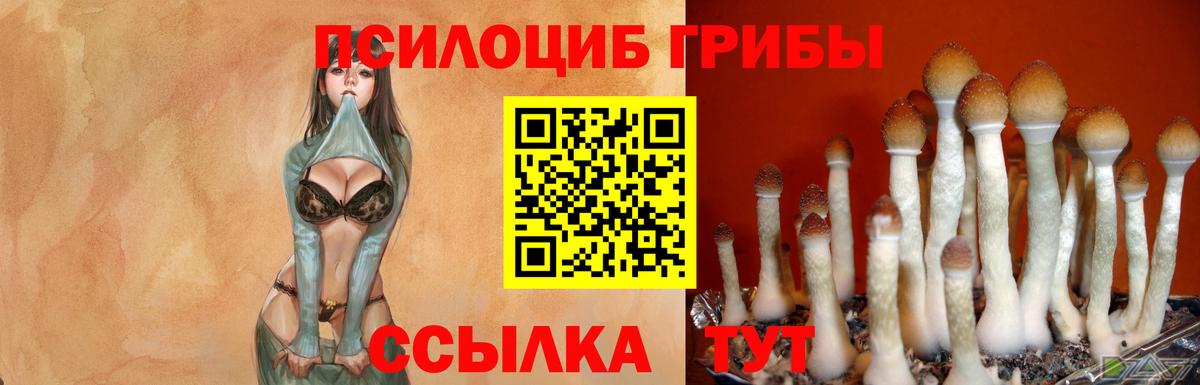 Галлюциногенные грибы мухоморы Бирск